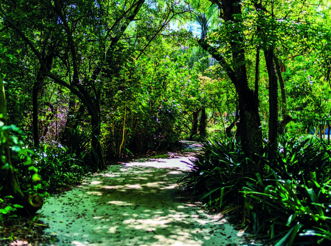 lancamento-endless-peninsula-rio-de-janeiro-rj-6